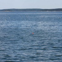 Muscongus Bay Lobster Buoys